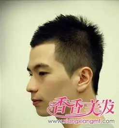 鲨鱼头发型谁给我发下图片谢了啊