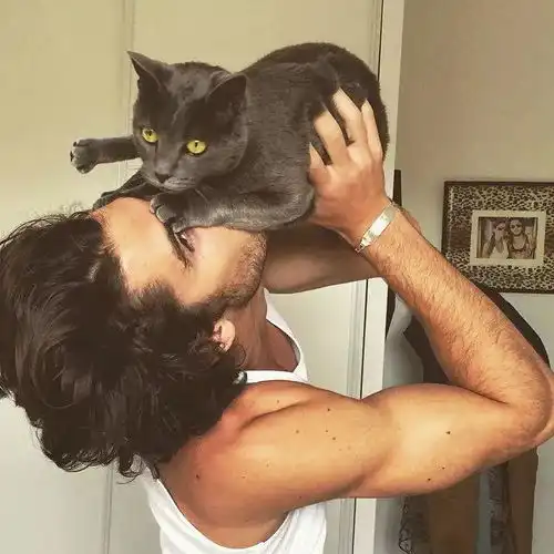 预制菜可口的法国男模,我好喜欢他的小猫咪