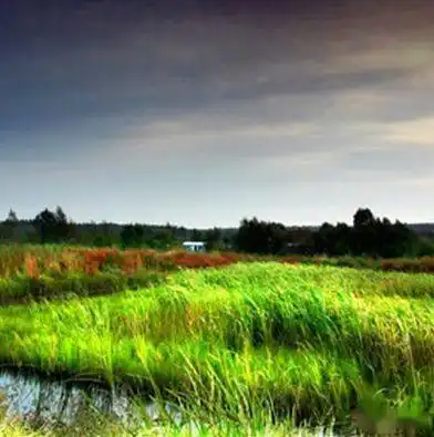 中老年头像大全成熟稳重适合男人的微信头像