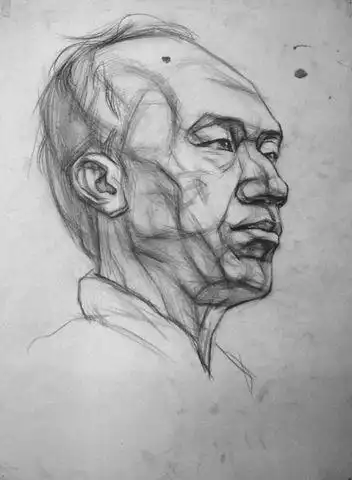 求素描人体结构的图片