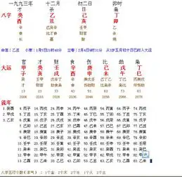 下面八字里己发辛是什么意思比才食乙杀还有长墓胎病各式什么意思流年里怎么看啊都不懂