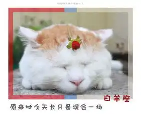 白羊男受不了什么样的女生