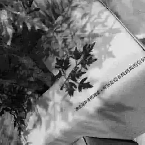 网易云句子晚上回去问电风扇我丑吗,它摇了一晚上头