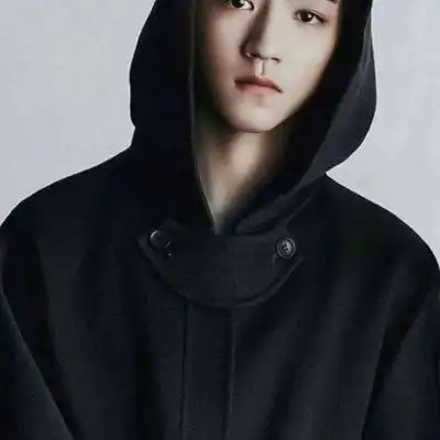 言辞言辞的爱豆王俊凯