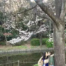 陈冠希晒女儿萌照alaia站壁画面前搞怪可爱