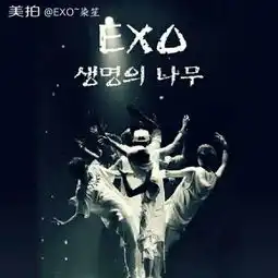 exo染笙的美拍