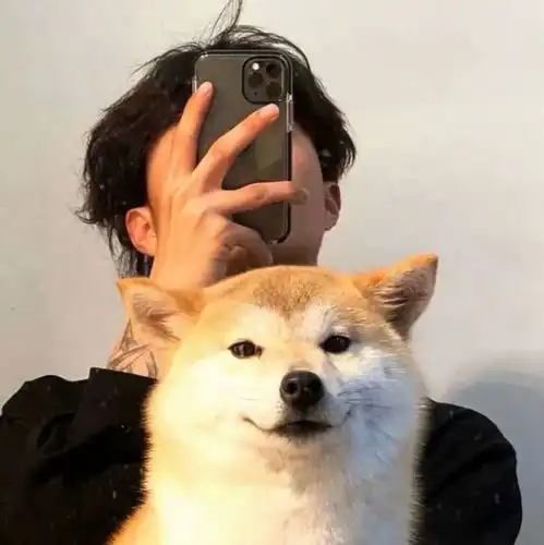 可爱男生l世界一般但你超值