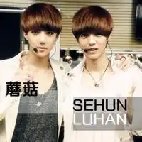 exo我偶像,的这个qq头像