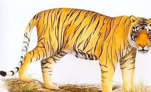 气质大方,有魅力的3生肖女,最有帮夫运,财气十足,兴家旺宅