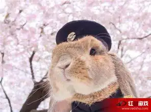 兔子被主人精心打扮樱花树下拍大量写真照片走