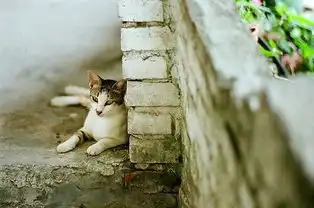 唯美好看的情侣qq背景头像一套我喜欢你像风走了八百里不问归期