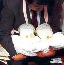 多图看了绝不后悔