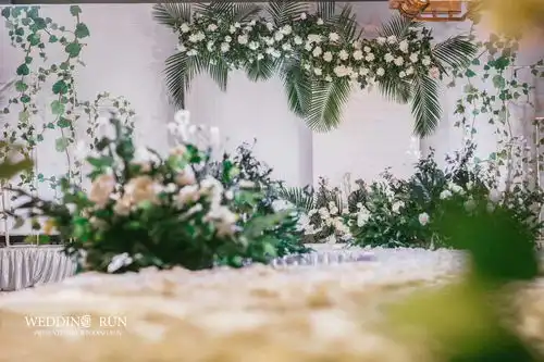 搜狐文化搜狐网