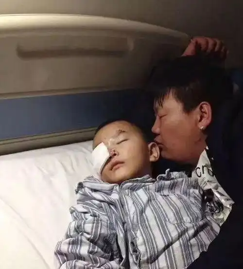 家里的调皮狗子是时候找个训犬师管管了