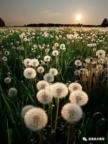 想象部落美术绘画课堂让生活充满诗意