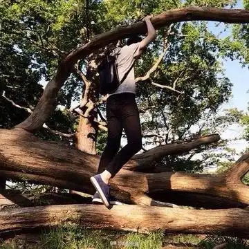 全站照片标签活泼