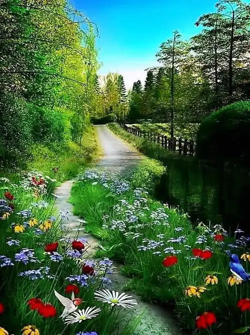 自然景观花草树木