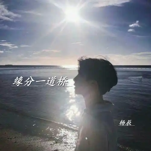 如果岁月可回头杨辰高音质在线试听如果岁月可回头歌词歌曲下载酷狗音乐