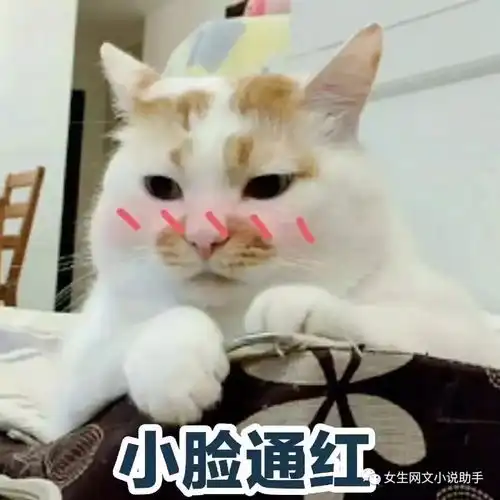 新小说吧8.68.12推荐榜单更新啦