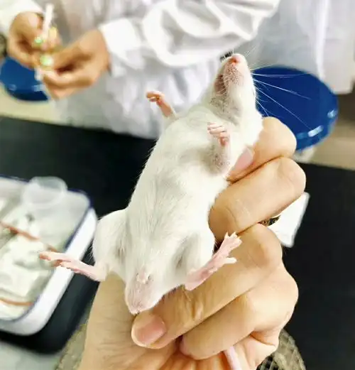 比较费脑的4个大学专业,挂科率高但就业香,家长和考生可关注