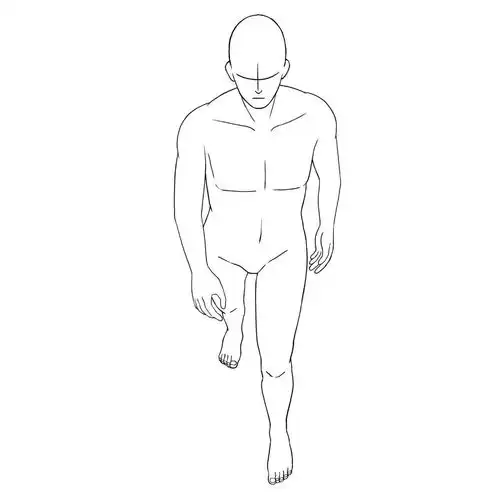 行走的人体素材,带你详细分析男女人体结构比例的差距