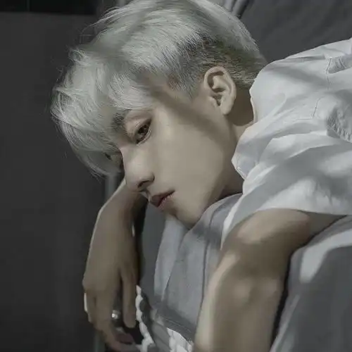 头像我尽力喜欢过但聚散不由我