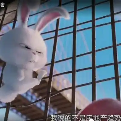 兔子头像