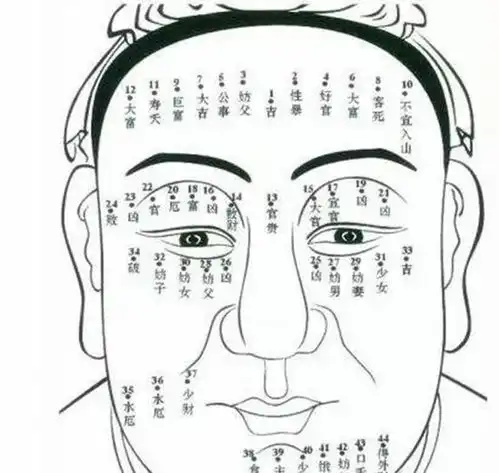 大师被皇帝召见,他说中午我若是回不来就死了,结果句句应验了