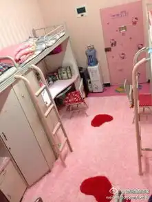 郑州森林系男生宿舍走红盘点那些扯眼球系宿舍