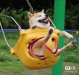 有老哥出iphone6s和小米6吗别的型号也可以