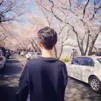 凉城凉心凉忆悲