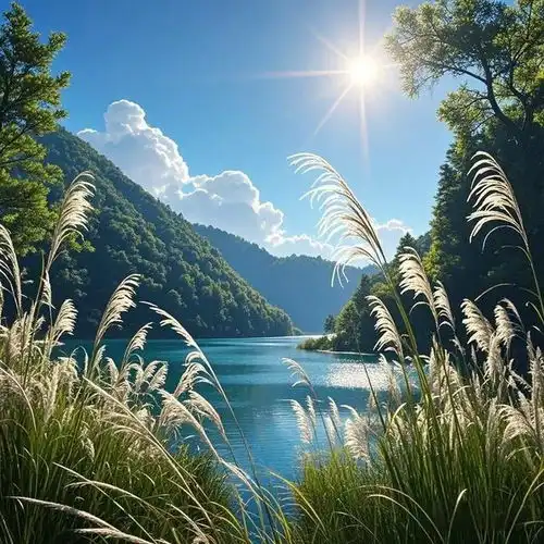 越用越顺的上等风水头像