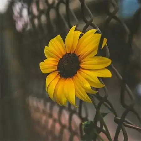 裸辞年入百万工作从零开始,三个月做到30万粉丝,他靠的是什么