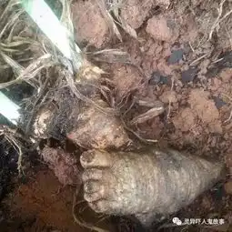 总觉得这些图片好恐怖