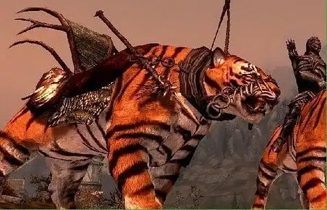 致我们任劳任怨的坐骑