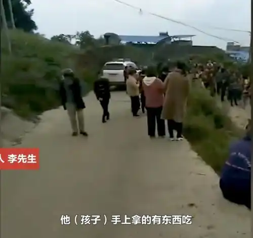 重庆8岁男孩上学途中,被3条恶犬攻击当场惨死,令人无比悲痛