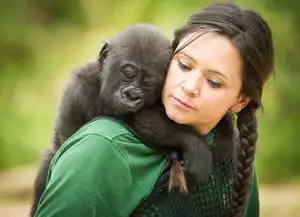 大盘点外媒公布2016年度最佳图片小动物原来这般奇趣可爱