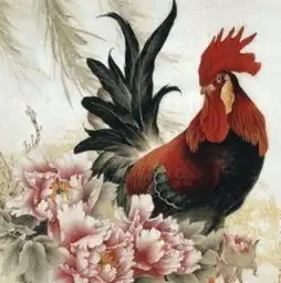 生肖鸡一生宿命,你敢看完吗