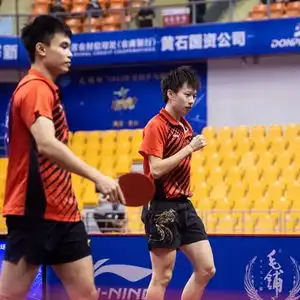 全锦赛林高远收获个人第二冠搭档周启豪登顶男双