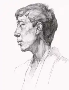 素描头像之线性素描,基础知识,及观察方法总结