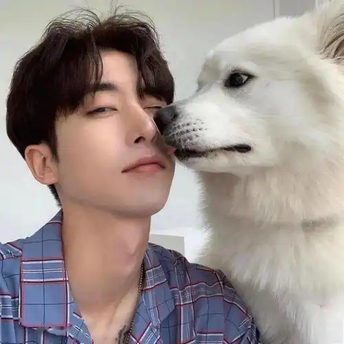 头像背景丨且听风吟静待花开