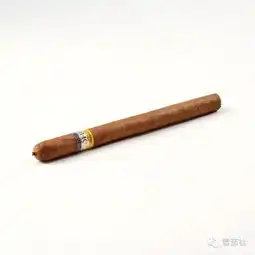中国男人开启雪茄精致生活