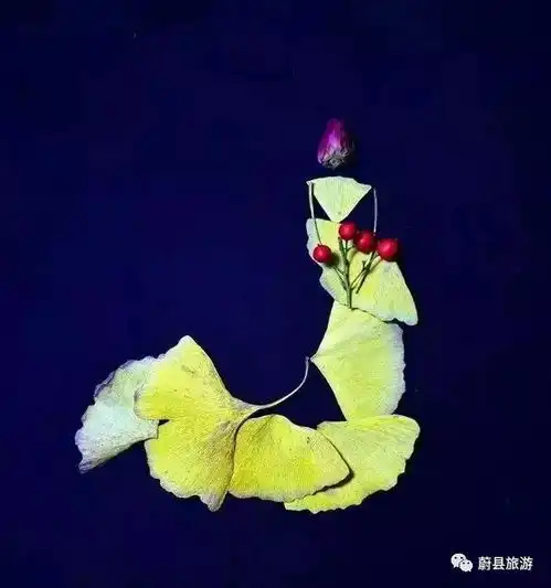 会作画的银杏叶,为你演绎出最美的冬天