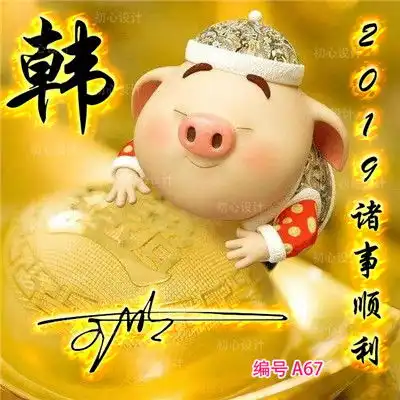 用姓氏做微信头像,有小猪猪的,有商务的等