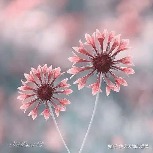 让人大彻大悟的佛语句子,值得收藏一生