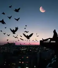 爱情,不只是燃烧