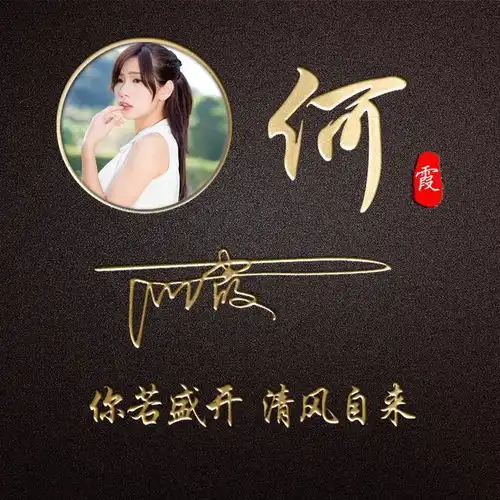 暗黑商务质感姓氏签名头像,将你的个性签名写在其中,不要错过