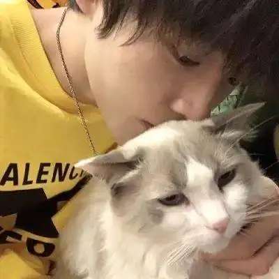 头像朋友圈的丧句文案