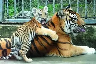 七夕,和她他去鞍山最美的地方