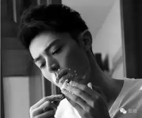 盘点娱乐圈十大零整容男明星,有你的男神么